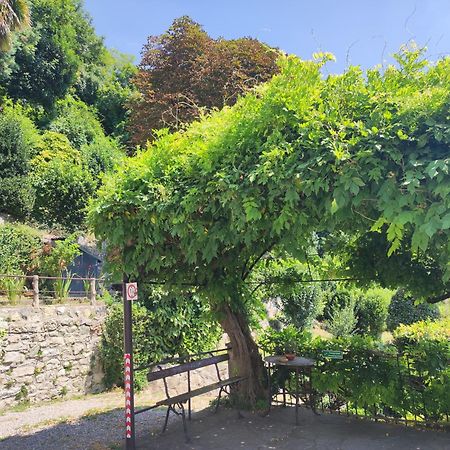 Villa Antonella, App. Vittoria Tavernerio Zewnętrze zdjęcie